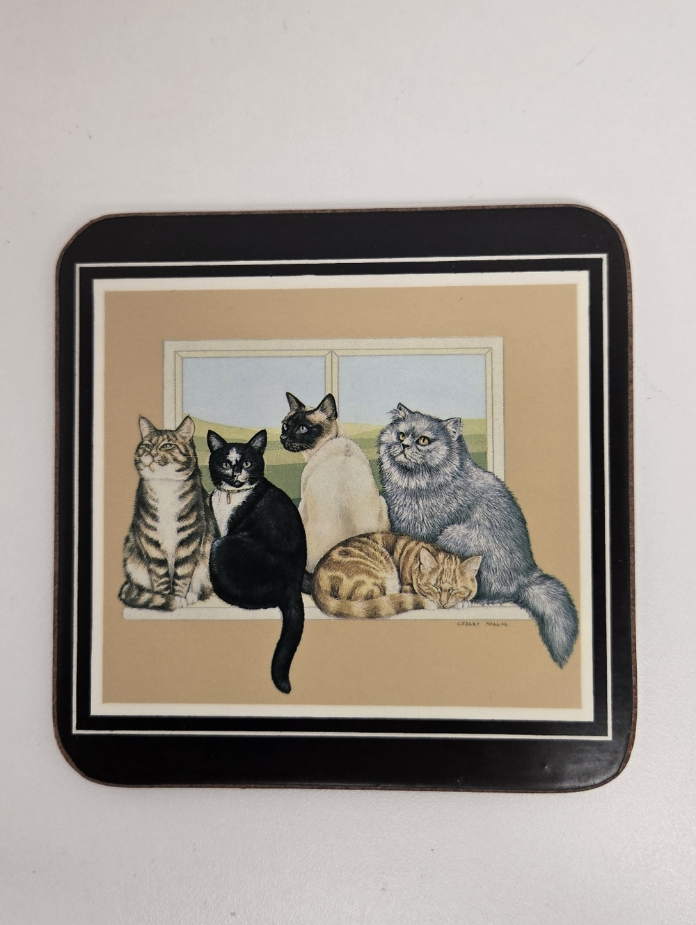 Royal Table Coasters: Sitting Pretty, Cork Back Set Of 6 In Box Made In England